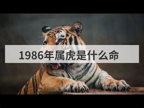 1986屬虎五行|1986年属虎的几月出生最好 1986年属虎五行属什么